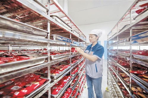 道真 做强做优产业链，赋能附着式升降脚手架高质量发展