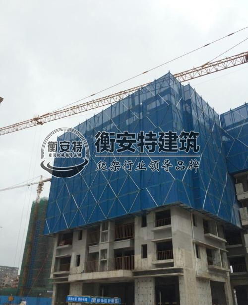 衡新电子秤与附着式升降脚手架产品报价及厂家资讯综合指南